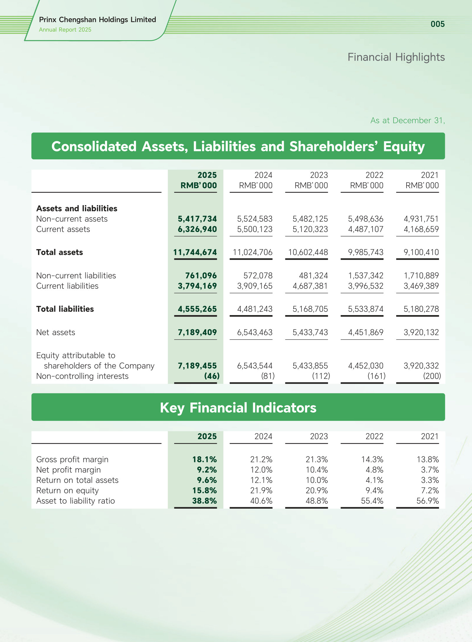 Five-year balance sheet and key financial indicators: gross margin, net margin, ROE and asset-to-liability ratio.